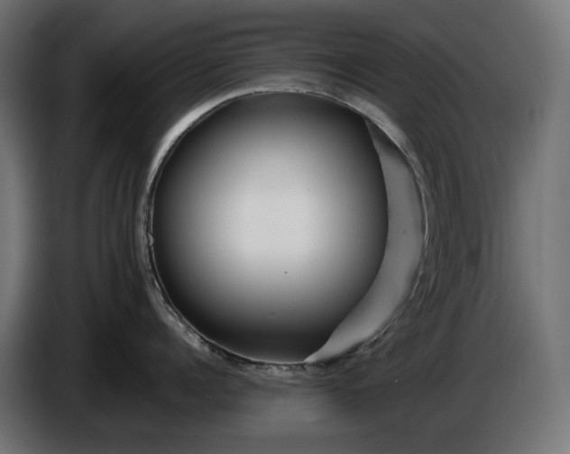 X0000086300960200704131607