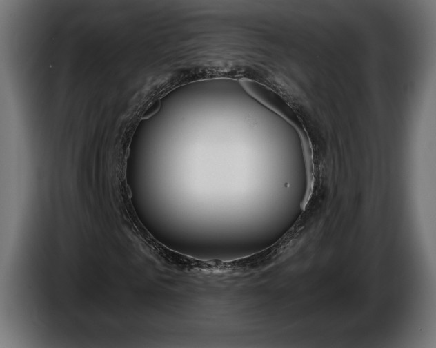 X0000086300961200704131606