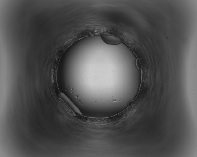 X0000086300962200704131606