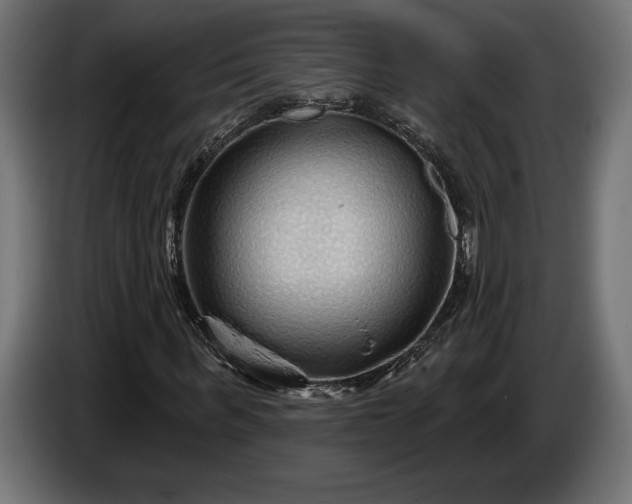 X0000086300963200704131606