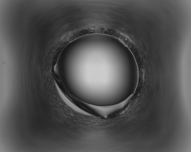 X0000086300965200704131606