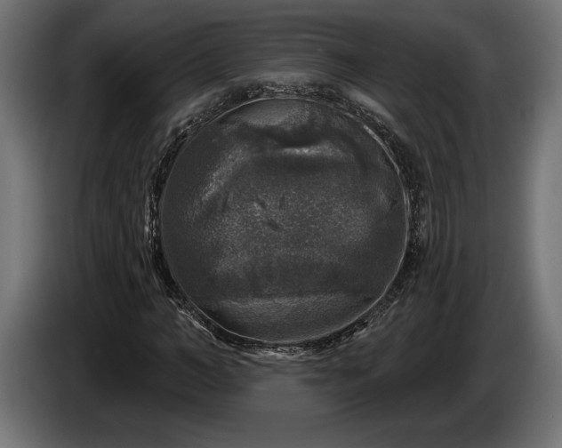 X0000086300966200704131606