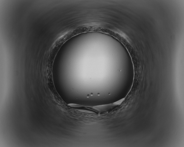 X0000086300967200704131606