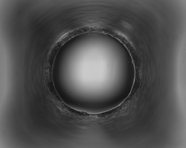 X0000086300968200704131606