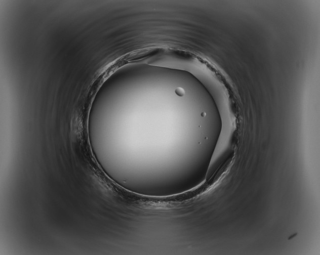 X0000086300969200704131606