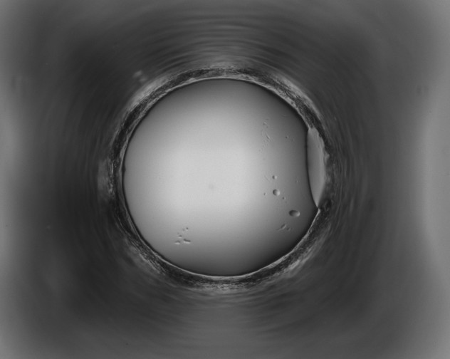 X0000086300970200704131606