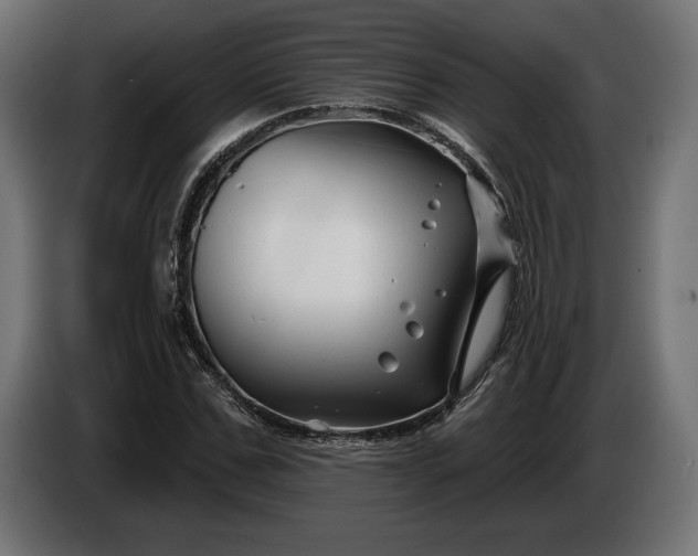 X0000086300971200704131606