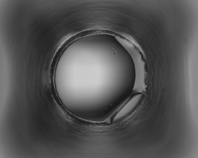 X0000086300972200704131606