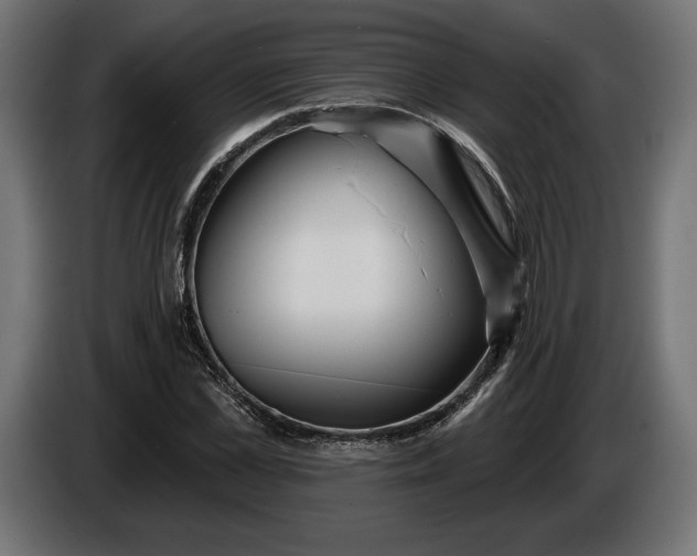 X0000086300973200704131606