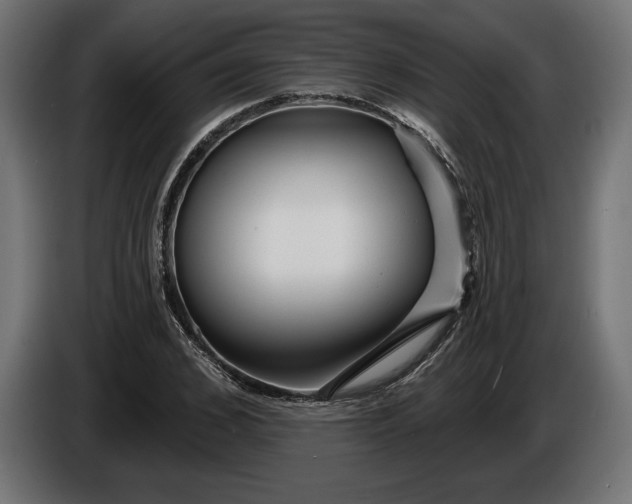 X0000086300976200704131606