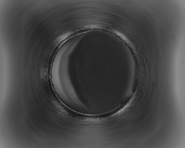 X0000086300977200704131606