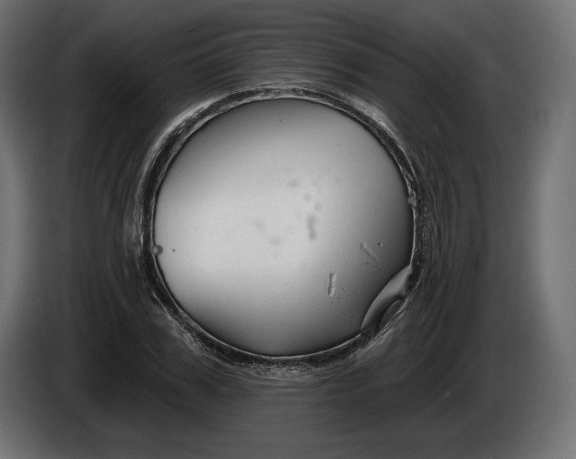 X0000086300979200704131606