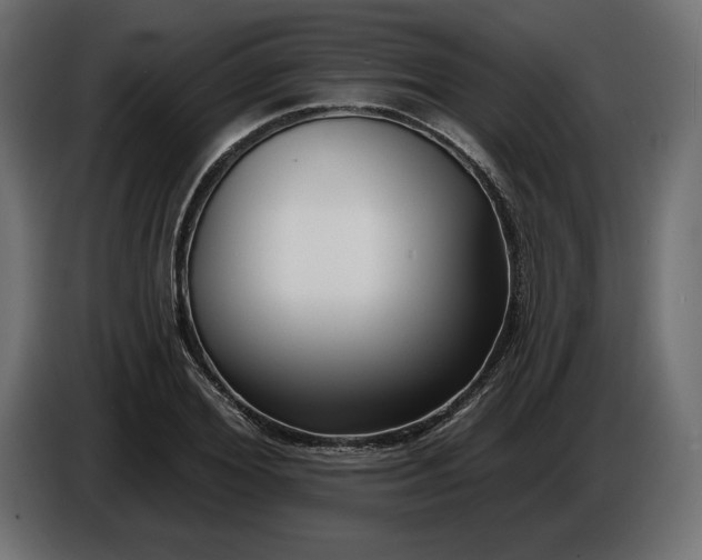 X0000086300980200704131606