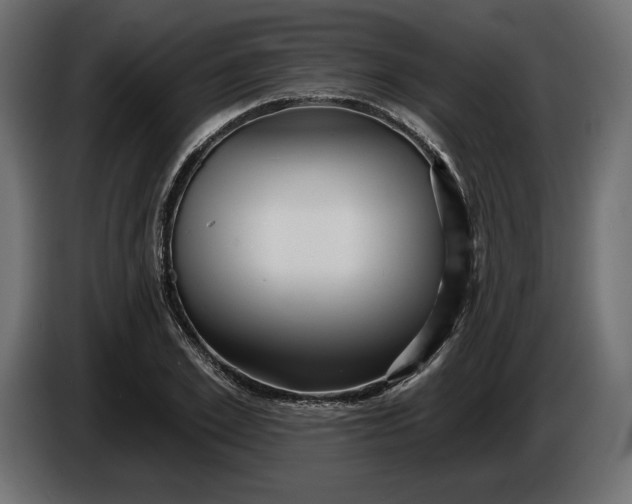 X0000086300981200704131606