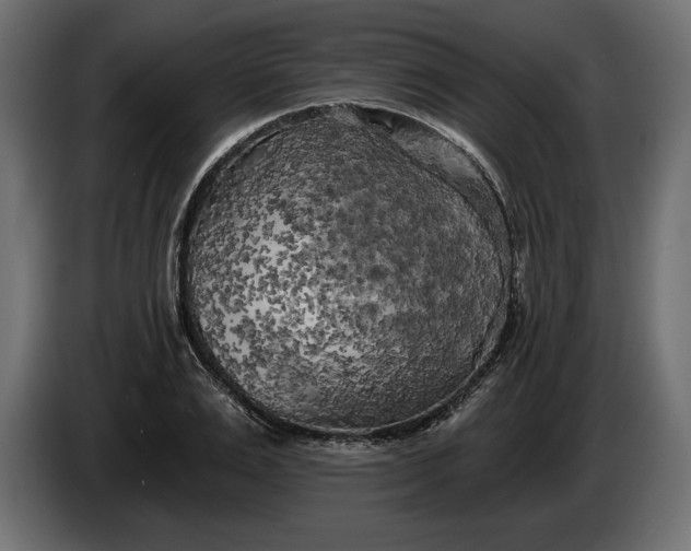 X0000086300983200704131606