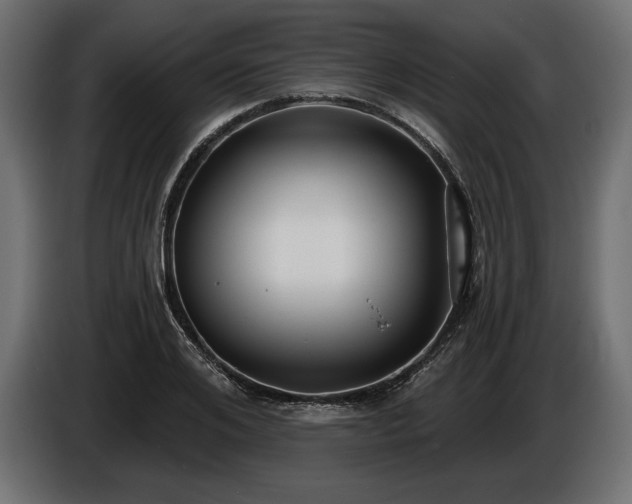 X0000086300984200704131606