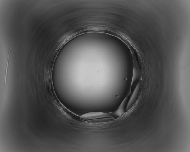 X0000086300985200704131606