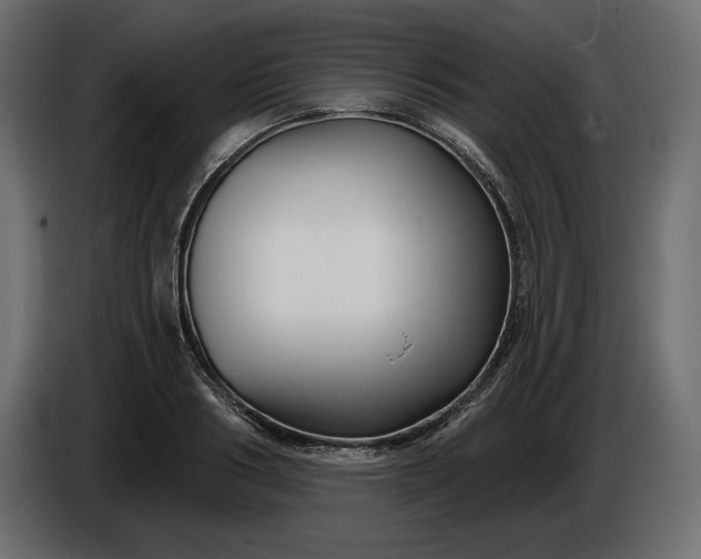 X0000086300986200704131606