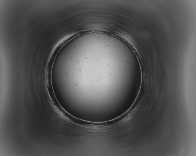 X0000086300987200704131606