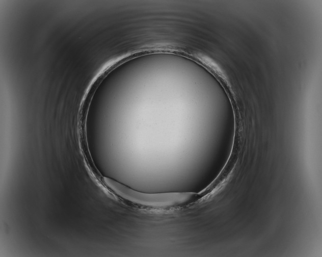 X0000086300989200704131605