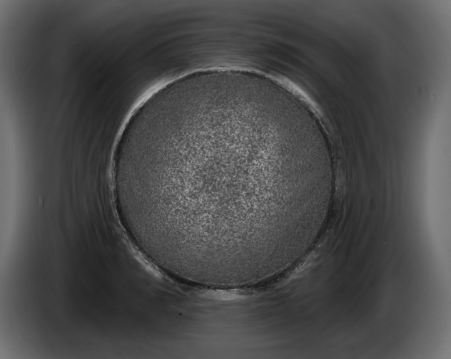 X0000086300990200704131605