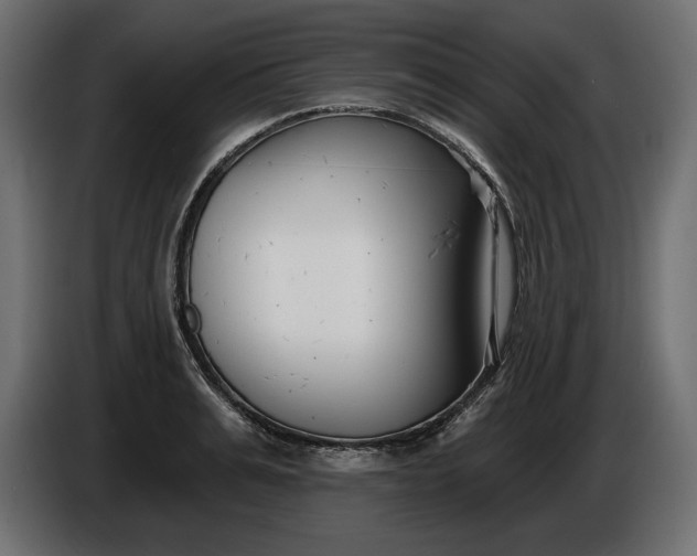 X0000086300991200704131605