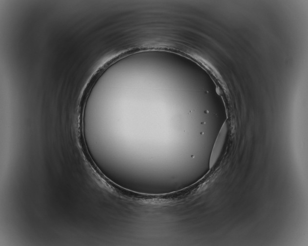 X0000086300992200704131605