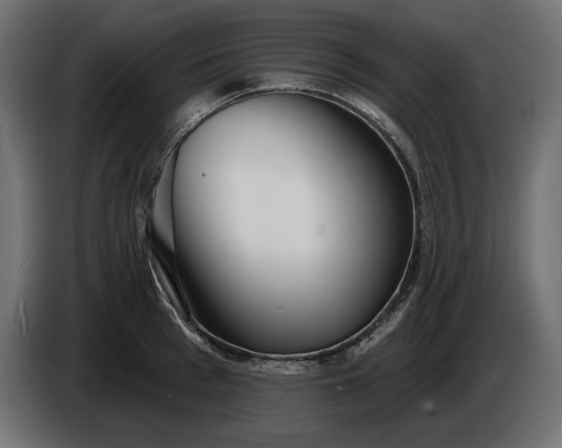 X0000086300993200704131605