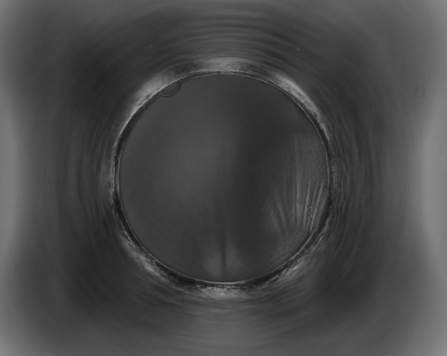 X0000086300994200704131605