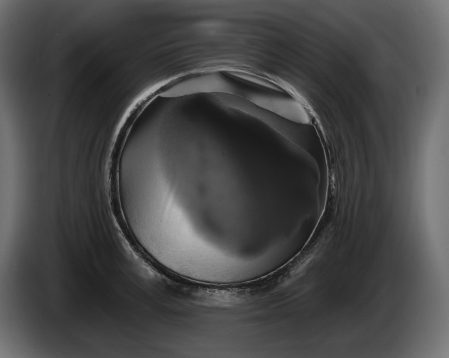 X0000086300995200704131605