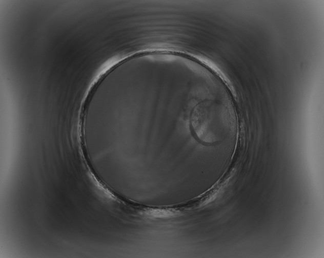 X0000086300998200704131605