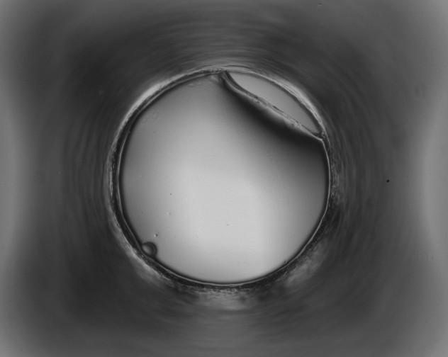 X0000086300999200704131605