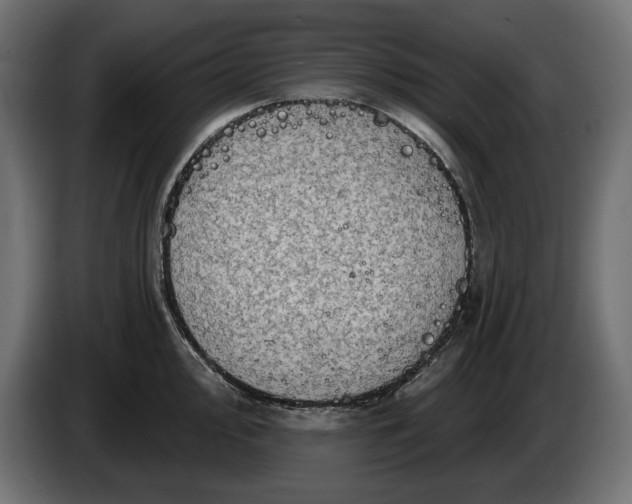 X0000086301000200704131605