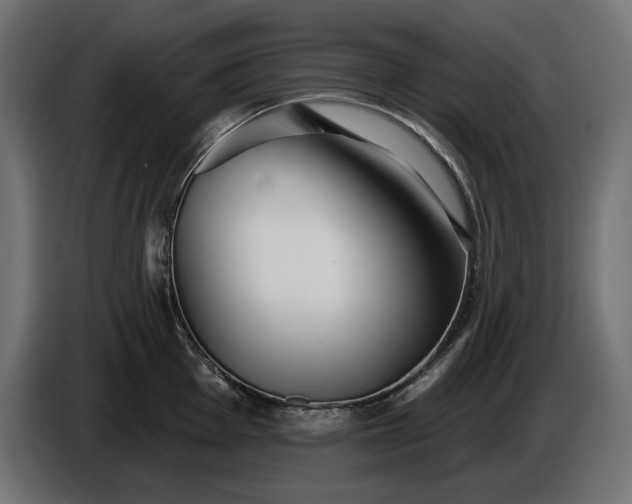 X0000086301001200704131605