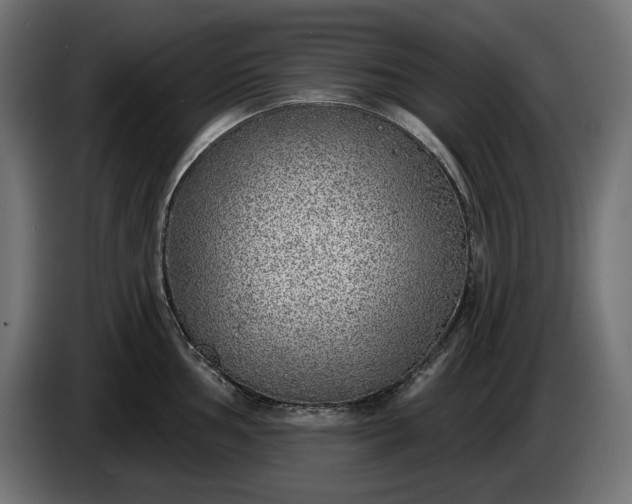 X0000086301002200704131605