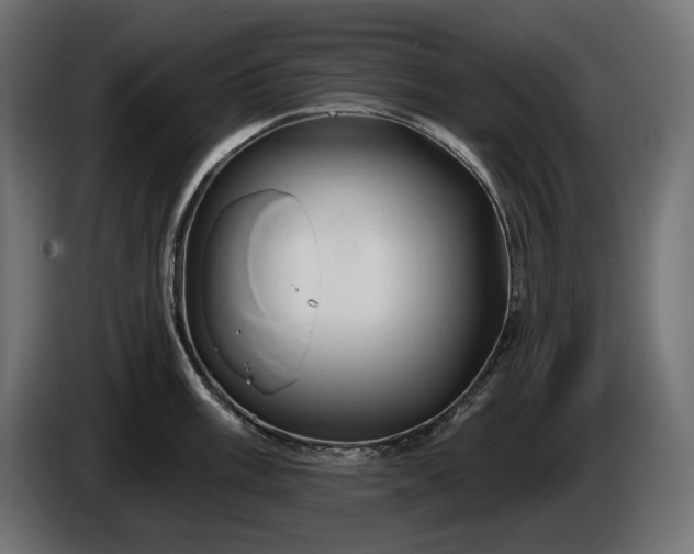 X0000086301003200704131605