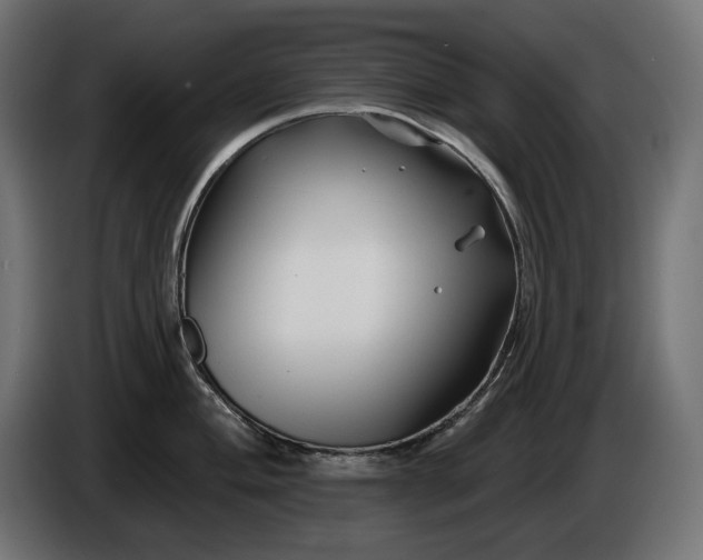 X0000086301004200704131605