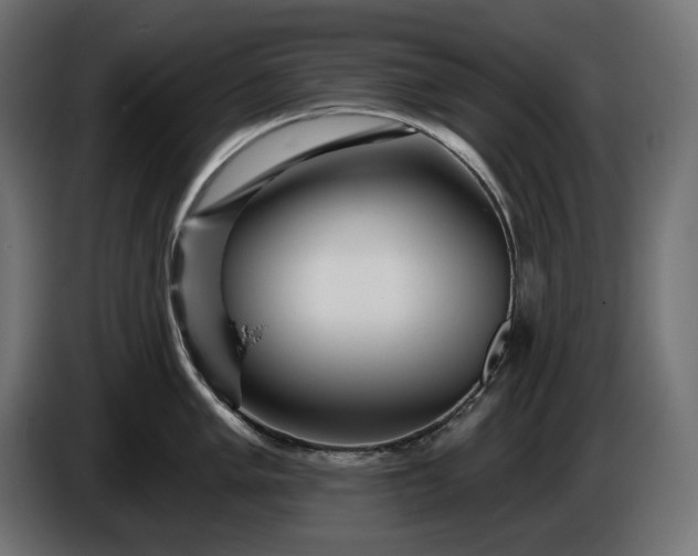 X0000086301005200704131605