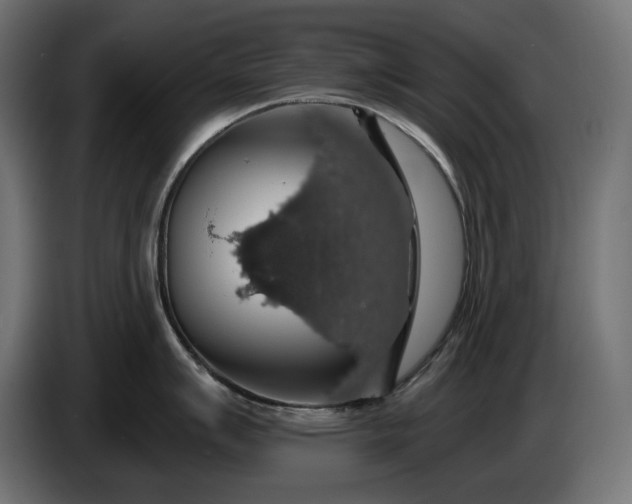 X0000086301007200704131605