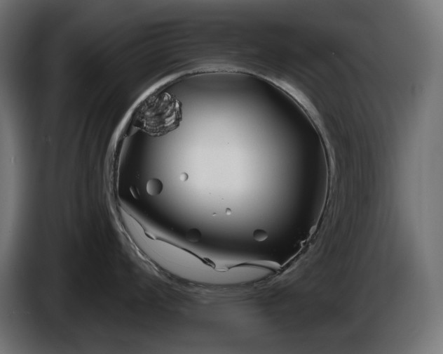 X0000086301008200704131605