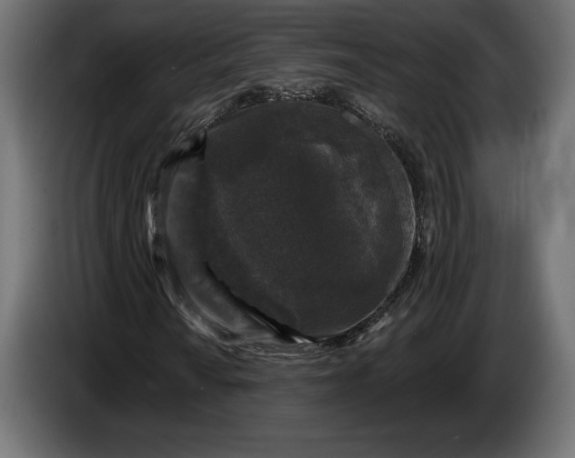 X0000086301010200704131605