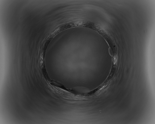 X0000086301011200704131605