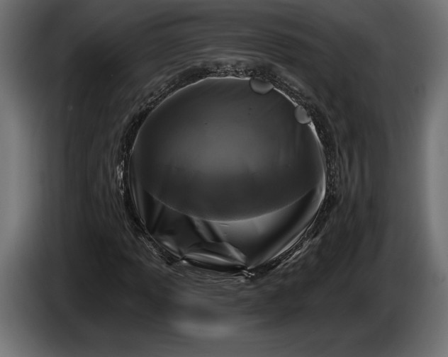 X0000086301013200704131605