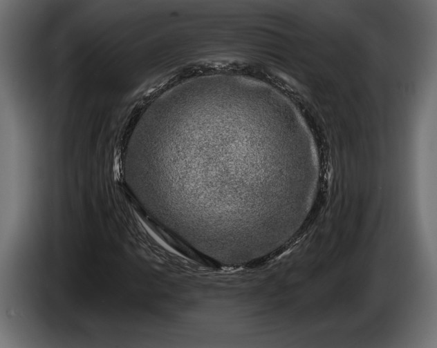 X0000086301014200704131605