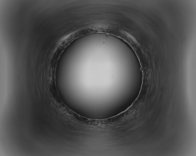 X0000086301016200704131605