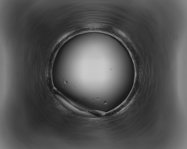 X0000086301017200704131605