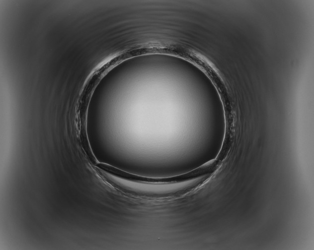 X0000086301018200704131605