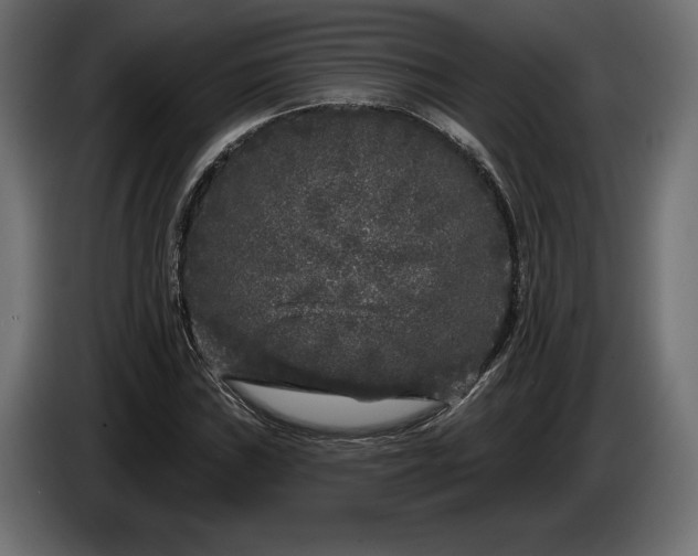 X0000086301019200704131605