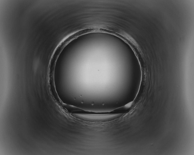 X0000086301020200704131605