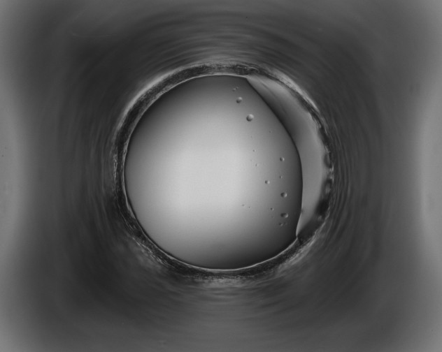 X0000086301021200704131605